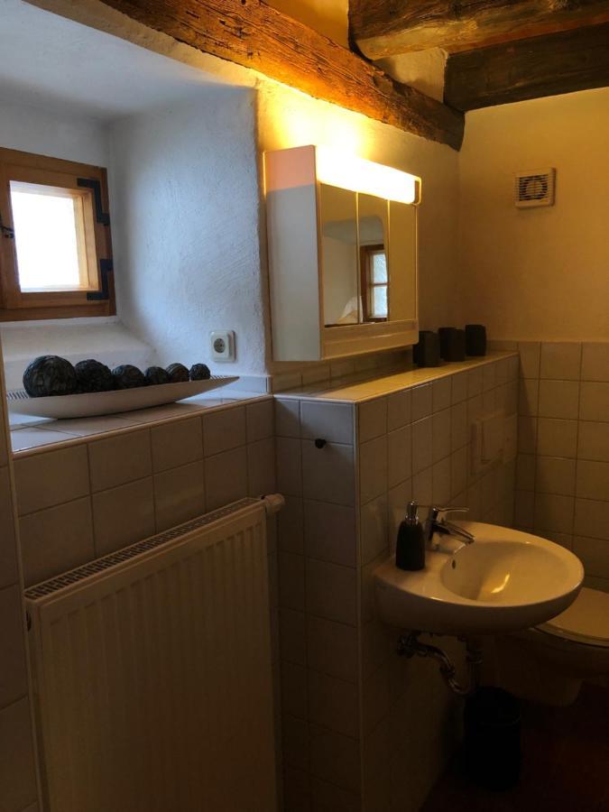 Wildbachidylle Villa Lichtenberg/Erzgebirge Ngoại thất bức ảnh
